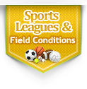 Sports Leagues & Field Conditions